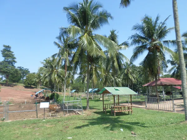 Melaka Wants to Turn Itself Into a Durian Tourism Destination With a One-Stop Supermarket