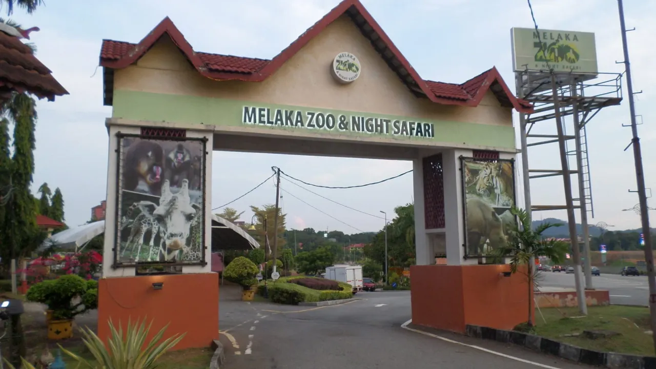 Zoo Melaka in Ayer Keroh, home to the zoo's Malayan tiger conservation programme