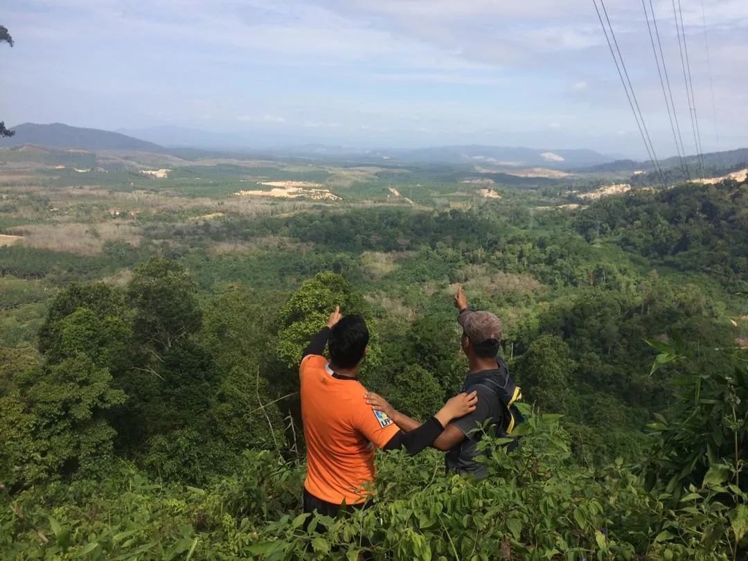 Pendaki melihat pemandangan hutan dari Bukit Batu Lebah di Melaka