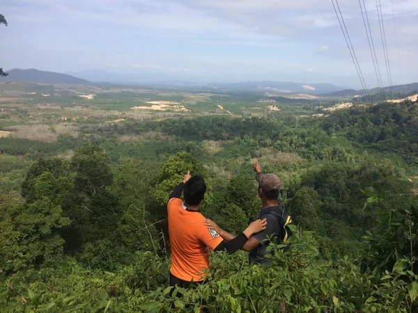 Bukit Batu Lebah Recreational Forest