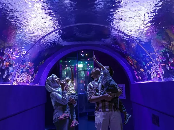 The Shore Oceanarium